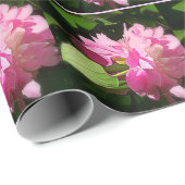 Cadeau Papier Peint Doucement Peonies Roses Enveloppant (Coin rond)