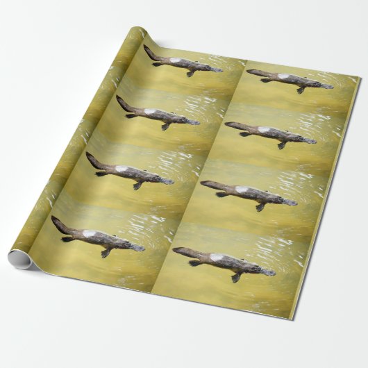 CADEAU PAPIER PLATYPUS AUSTRALIA (Déroulé)