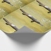 CADEAU PAPIER PLATYPUS AUSTRALIA (Coin)