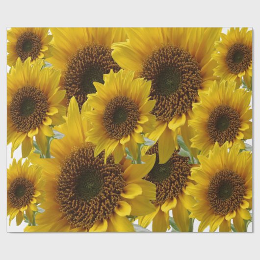 Cadeau Papier tournesol enveloppant mat (Plat)