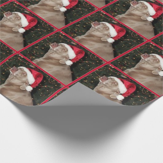 Cadeau Pattes de Père Noël - style de Weimaraner - papier (Coin)