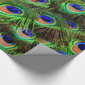 Cadeau Plumes Peacock 7A-B Options Papier d'enveloppement (Coin)