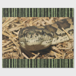 Cadeau Serpent de papier à envelopper brillant