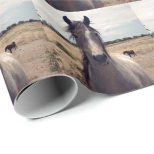 Cadeau Star The Arab Pony, papier enveloppant