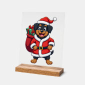 Cadeau Surprise Pomeranian (Angle)