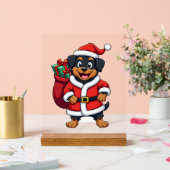 Cadeau Surprise Pomeranian (Mariage)