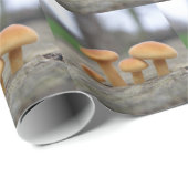 Cadeau Tabourets Toadstools Papier d'enveloppement Macro (Coin rond)
