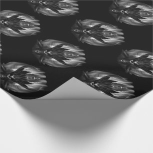 Cadeau Taidushan Sai TOT BlackSun Wrapping Papier