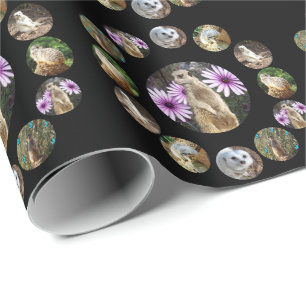 Cadeau Treize Meerkats Surprise, Papier Enveloppant