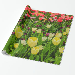 Cadeau tulipes sur du papier d'emballage brillant