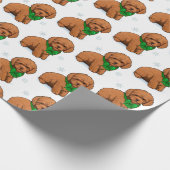 Cadeau Un canicule d'abricot dans un papier d'enveloppeme (Coin)