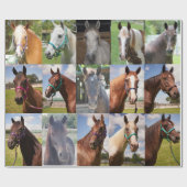 Cadeau Visages du papier d'enrobage de Secourt (Plat)