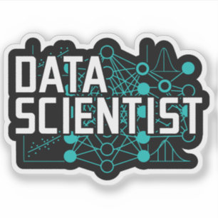 Cadeau voor Data Scientist Data Analist Sticker