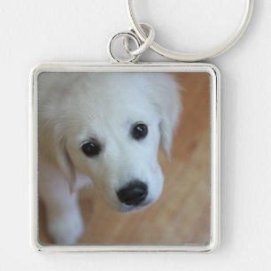 Cadeau voor dierenvrienden sleutelhanger