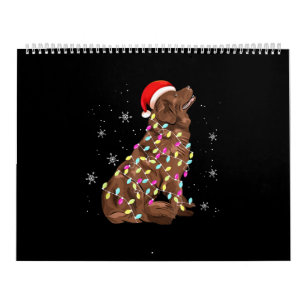 cadeau voor kerstcadeautje bij Newfoundland Grapp Kalender