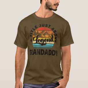 Cadeau voor mannen voor Vaderdag Opa Een titel net T-shirt