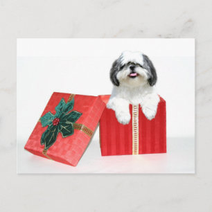 cadeau voor Shih Tzu Kerstmis Feestdagenkaart