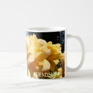 Cadeau Vriendschap Koffiekop Mok Sinaasappel ROZEN
