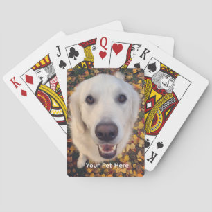 Cadeaubon voor huisdieren met een schattige hond pokerkaarten