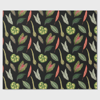 Cadeaupapier
