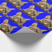 Cadeaupapier |Cornish Rex Tiger Cat Blue (Hoek)