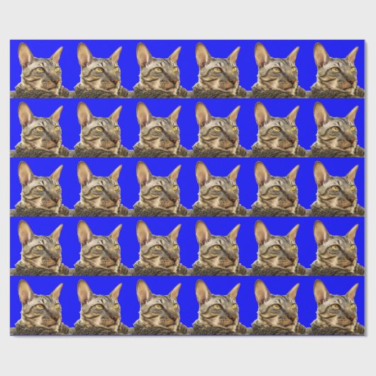 Cadeaupapier |Cornish Rex Tiger Cat Blue (Vlak)