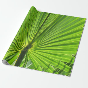 Cadeaupapier - Palmblad
