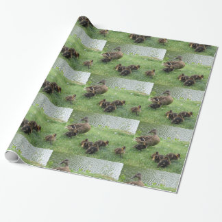 cadeaupapier voor eenden