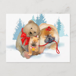 CADEAUX À POIL (OURS) Carte postale Chow & Teddybe