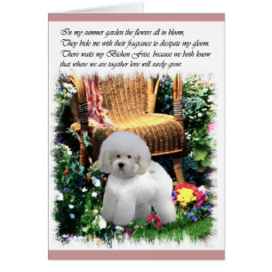 Cadeaux d'art Bichon Frise