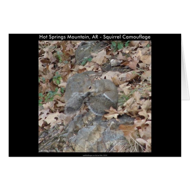 Cadeaux de camouflage de montagne de Hot Springs,  (Devant horizontal)