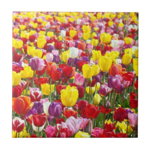 Cadeaux de carreaux de fleurs de tulipes printaniè