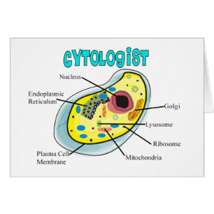 Cadeaux de dessin de cellule humaine de Cytologist