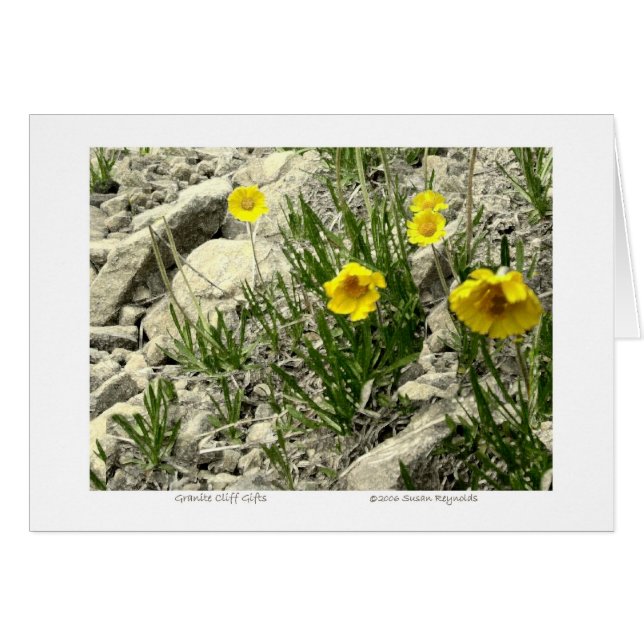 Cadeaux de falaises de granit (Devant horizontal)