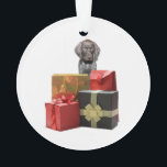 Cadeaux de Noël Pointer Puppy<br><div class="desc">Tout ce que je veux pour Noël est un chien Pointer Allemand à poil court ! Surprenez tous les amoureux de cette race avec un cadeau unique mettant en vedette leur race préférée !</div>