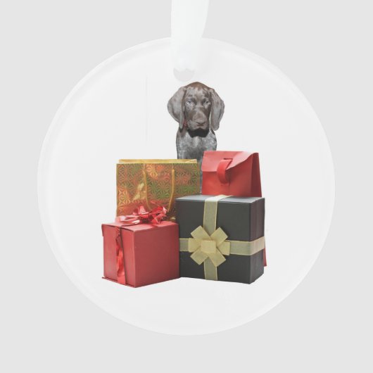 Cadeaux de Noël Pointer Puppy (devant)