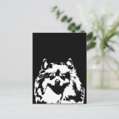 Cadeaux de Poméranie - Carte postale (Debout devant)