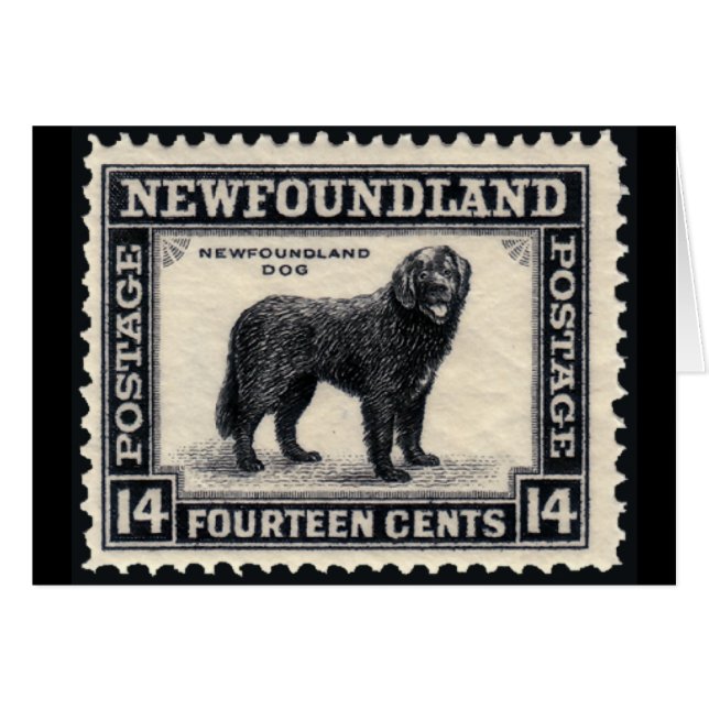Cadeaux de timbres de chien de Terre-Neuve (Devant horizontal)