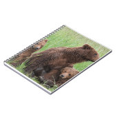 Cadeaux d'ours réels, Ours Grizzly, Journal d'ours (Côté gauche)