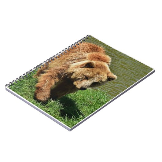 Cadeaux d'ours réels, Ours Grizzly, Journal d'ours (Côté gauche)