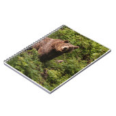 Cadeaux d'ours réels, Ours Grizzly, Journal d'ours (Côté gauche)