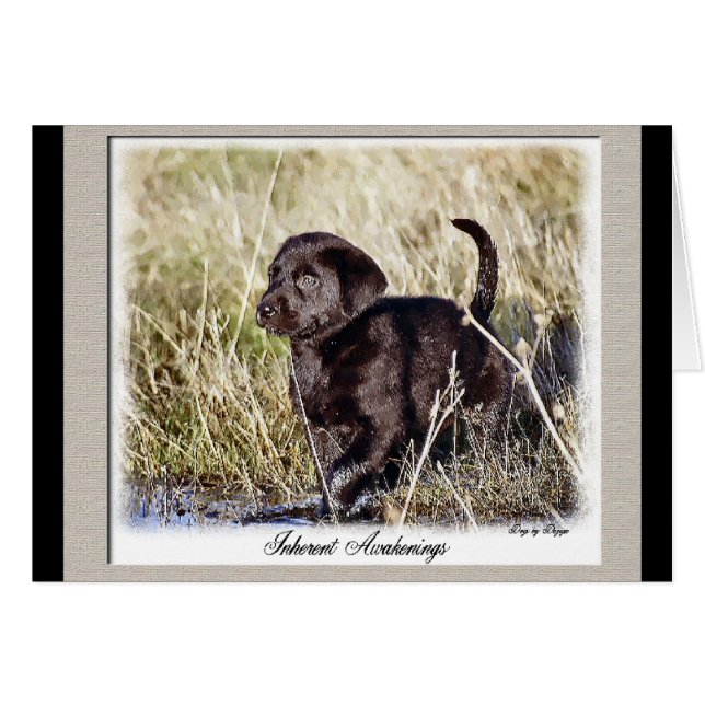 Cadeaux du Labrador Retriever (Devant horizontal)