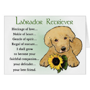 Cadeaux du Labrador Retriever