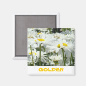 Cadeaux GOLDEN magnet Blanc Fleurs de marguerite F (Recto/Verso)