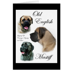 Cadeaux Mastiff anglais anciens