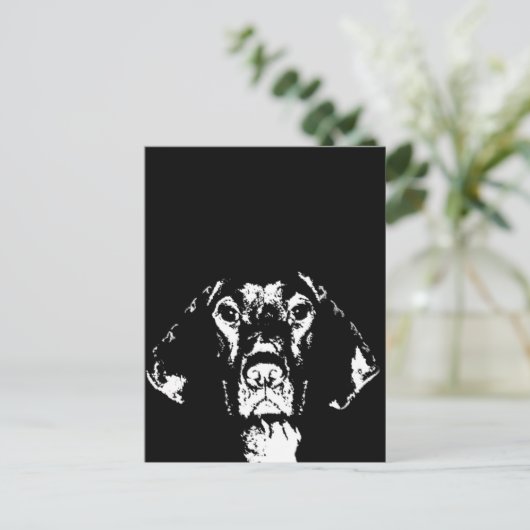 Cadeaux Pointer - Carte Postale (Debout devant)