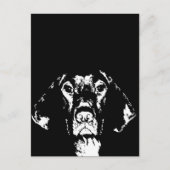 Cadeaux Pointer - Carte Postale (Devant)