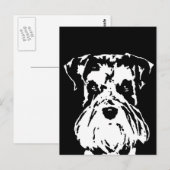 Cadeaux Schnauzer - Carte postale (Devant / Derrière)