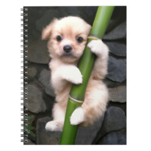 Caderno Espial Gaejook 개 죽 이 Notitieboek