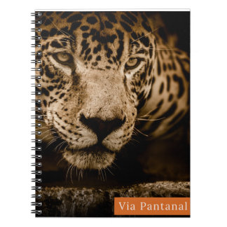 Caderno Via Pantanal Onça Notitieboek